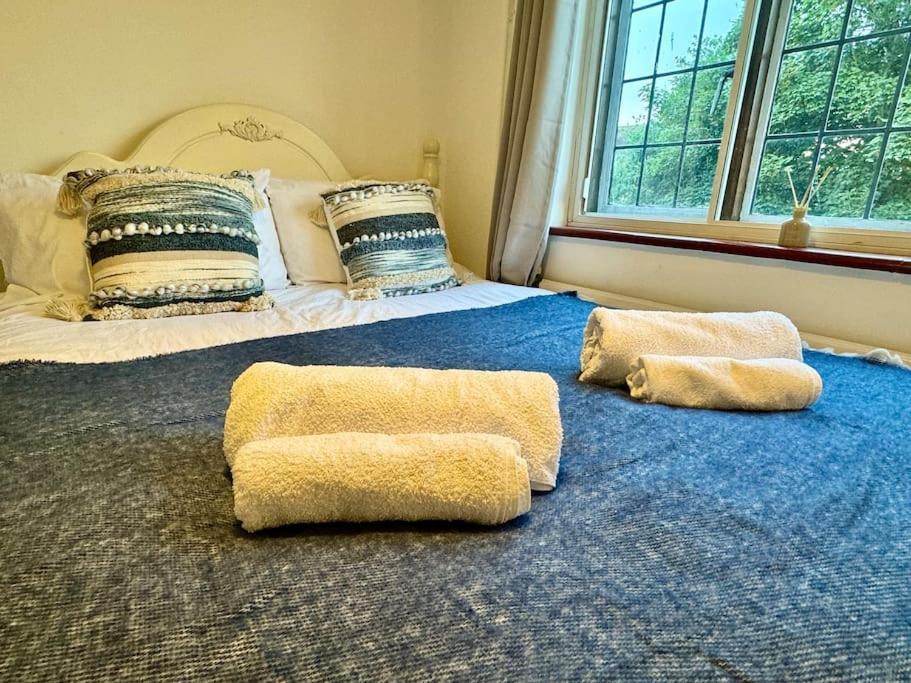 Sanctuary Apartment